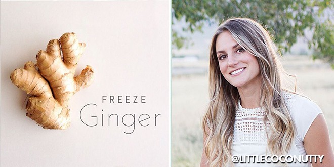 F Freeze Ginger