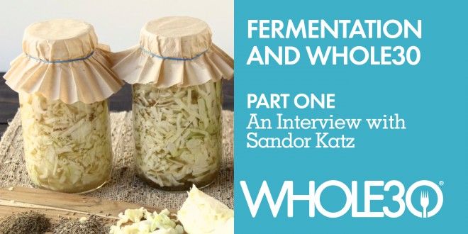 Fermentation 101 (Part 1): An Interview with Sandor Katz