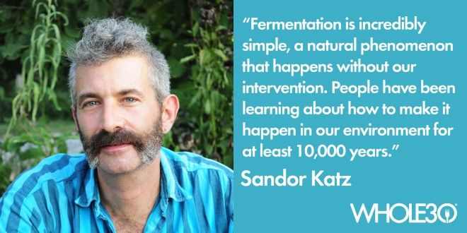 Fermentation, Free Full-Text