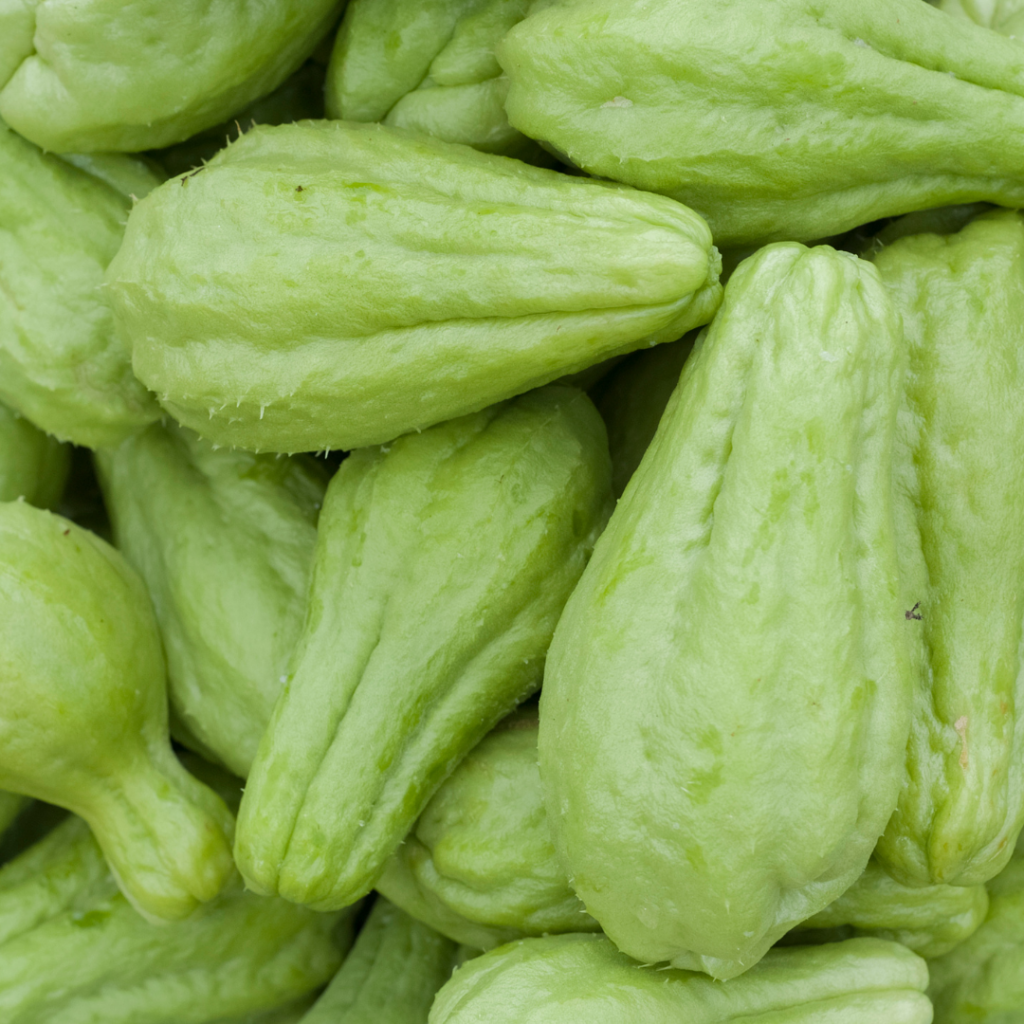 A photo of Chayote Squashes. A green oblong and round vegetable. 