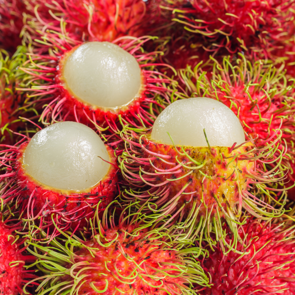 An image of rambutan, a red spiked fruit, with a hard exterior. 