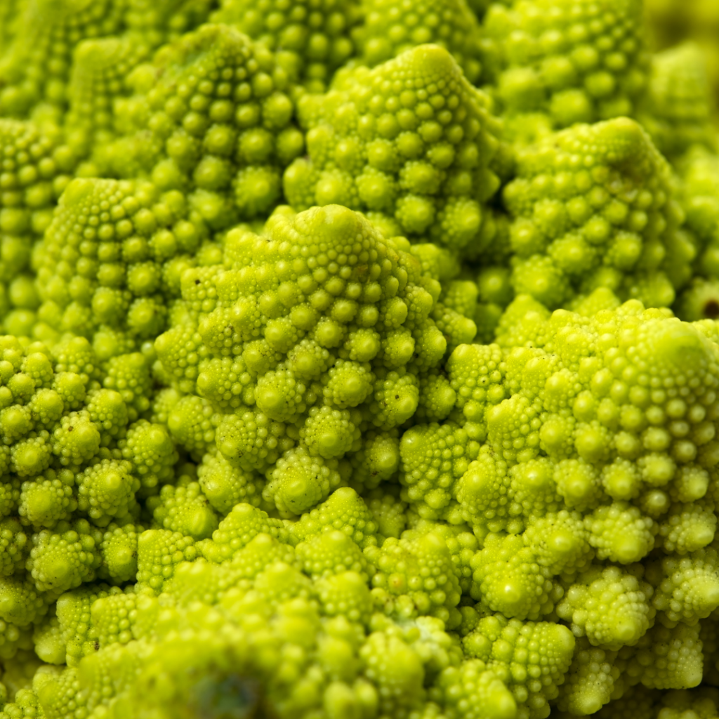Romanesco is a spiked green vegetable with a milder broccoli taste. 