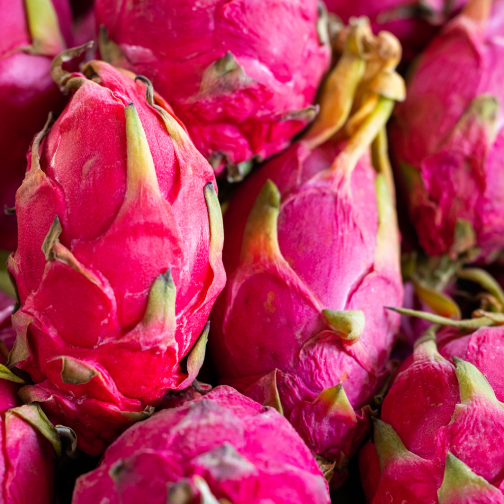 https://whole30.com/wp-content/uploads/2023/03/dragonfruit-1024x1024.png