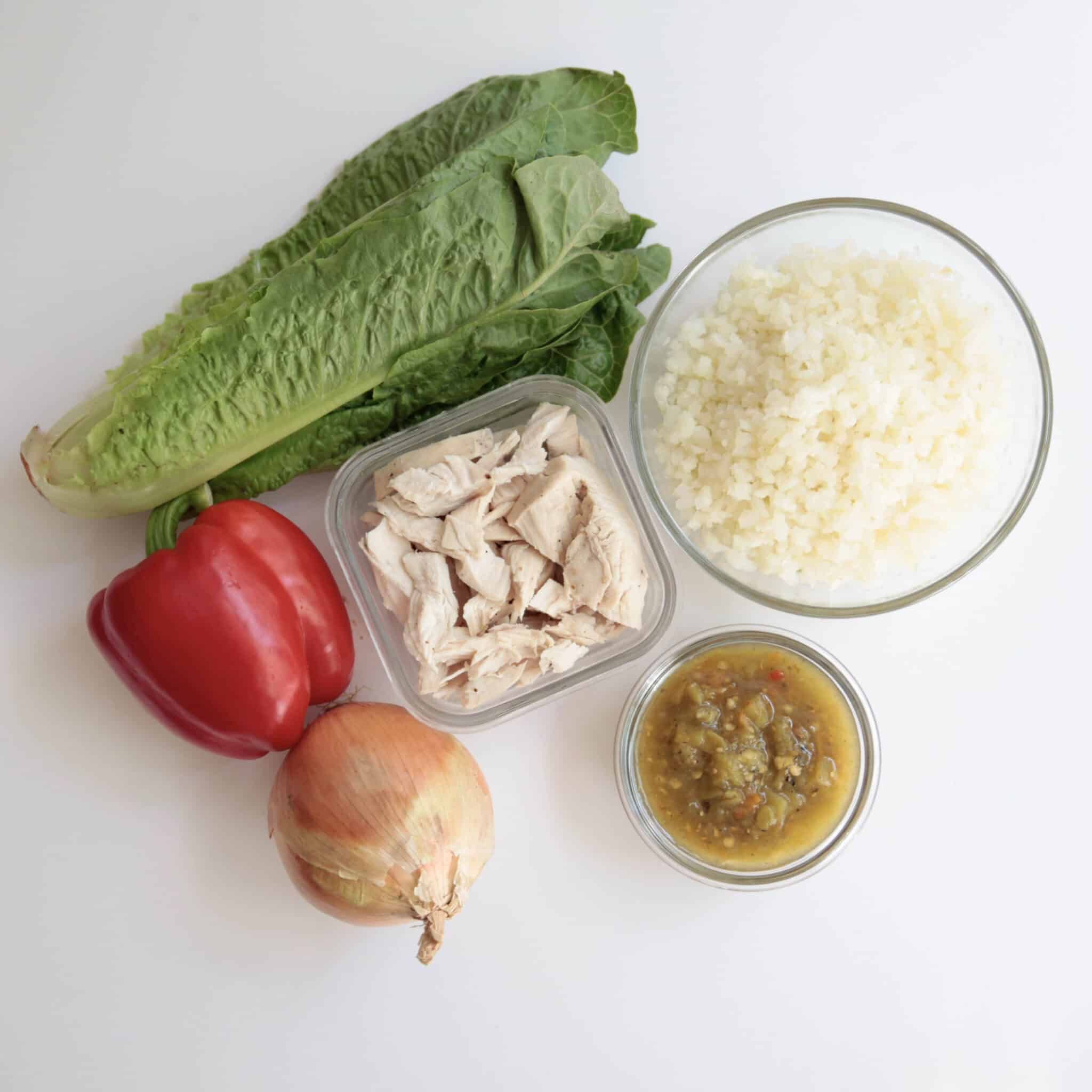 5 Ingredient Salsa Chicken + Cauli Rice - The Whole30® Program