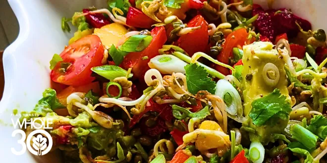 Moong-Sprouts-and-Mango-Salad-Blog-Hero-2