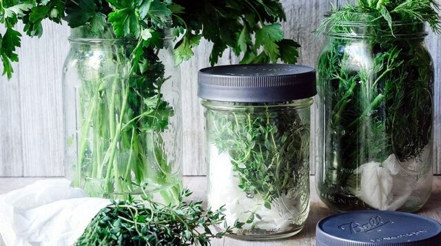 keeping herbs fresh