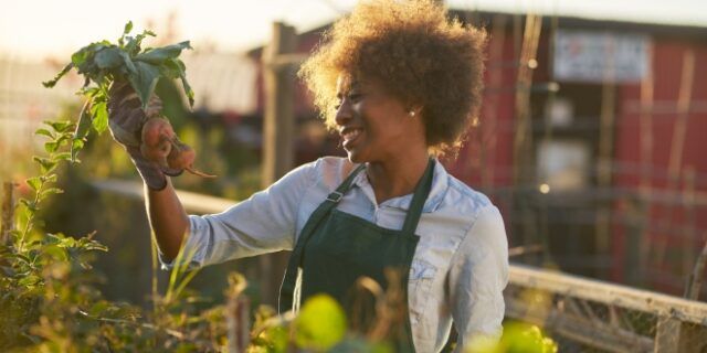 Learn all the tips tricks for how to grow your own vegetables.