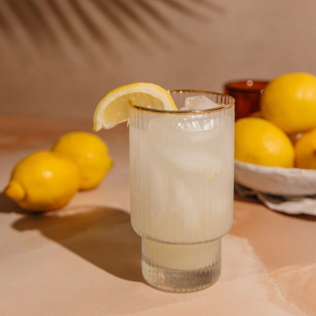 Whole30 Lemon Ginger Fizz Square